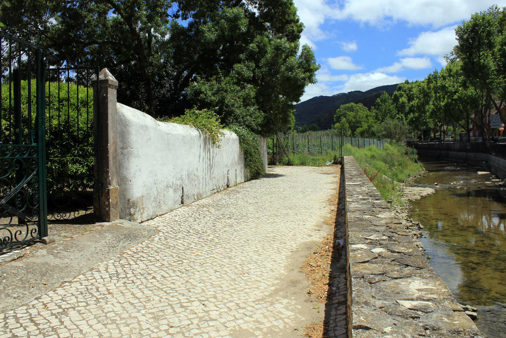 הוילה סינטרה Quinta Da Varzea מראה חיצוני תמונה