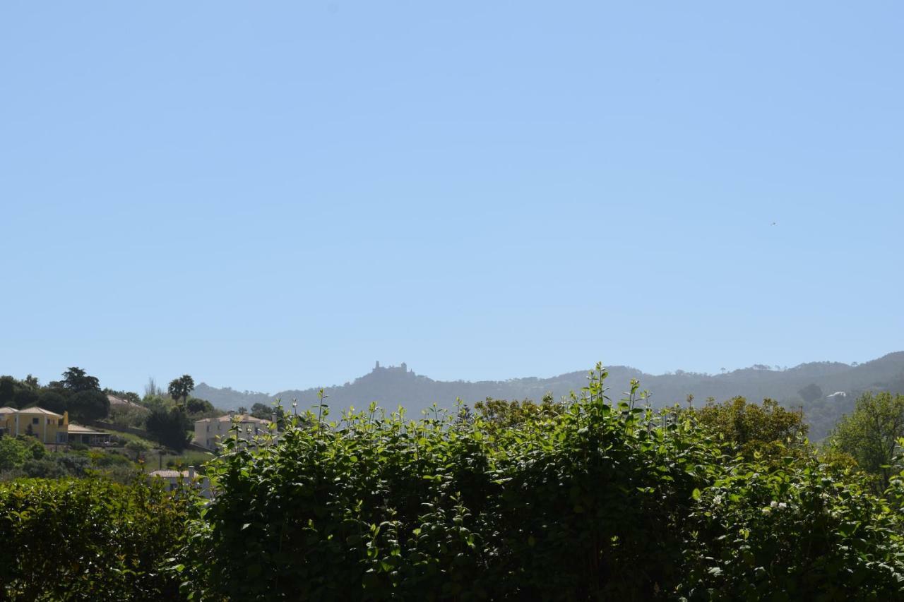 הוילה סינטרה Quinta Da Varzea מראה חיצוני תמונה