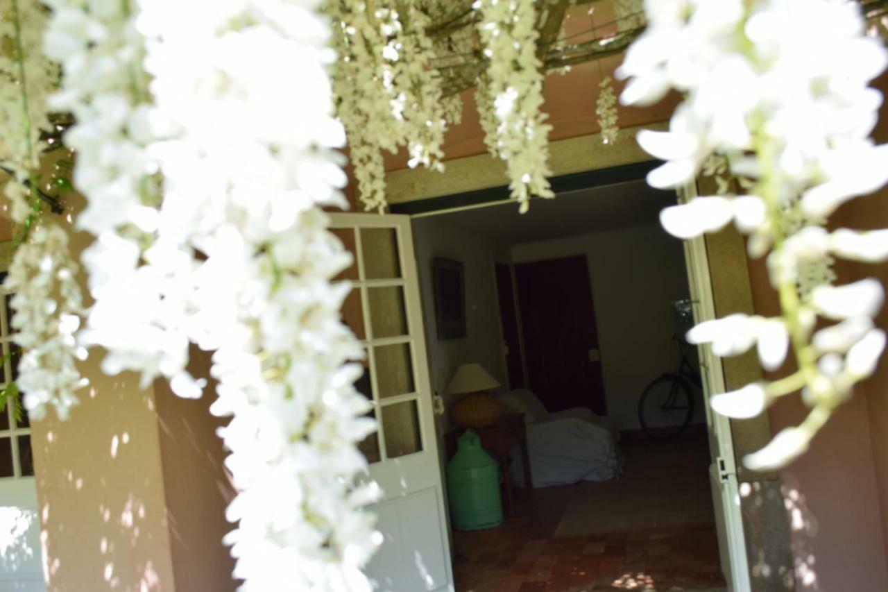 הוילה סינטרה Quinta Da Varzea מראה חיצוני תמונה